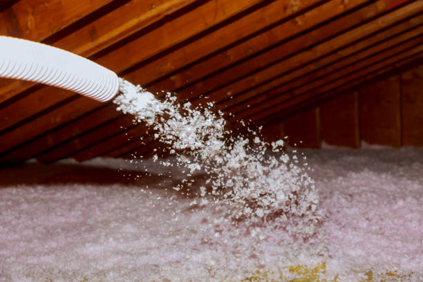  Port St Joe, FL Insulation Contractor Pros