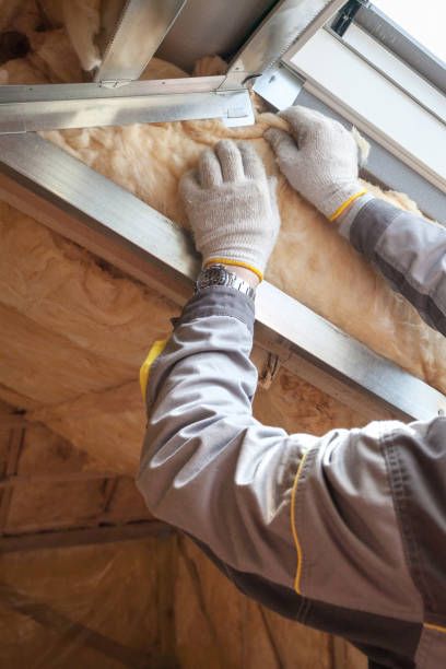 Best Types of Insulation in Port St Joe, FL